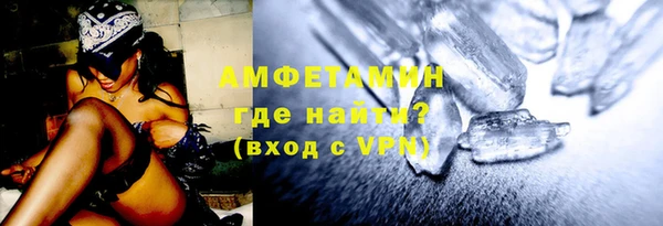 гашик Пересвет