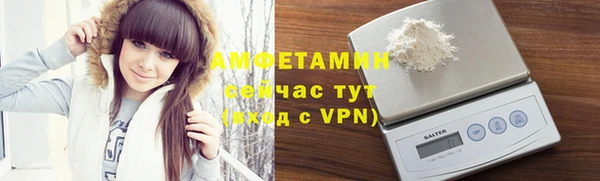 гашик Пересвет
