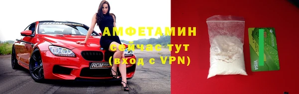 гашик Пересвет