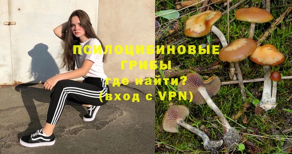 тгк Пестово