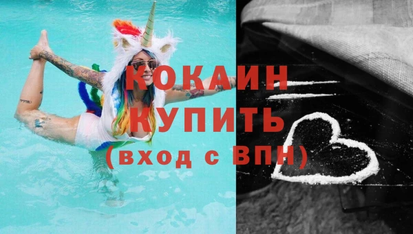 гашик Пересвет