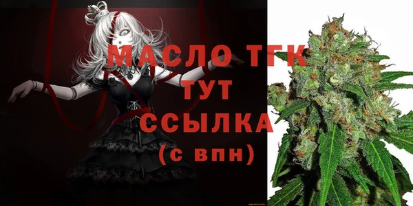 гашик Пересвет