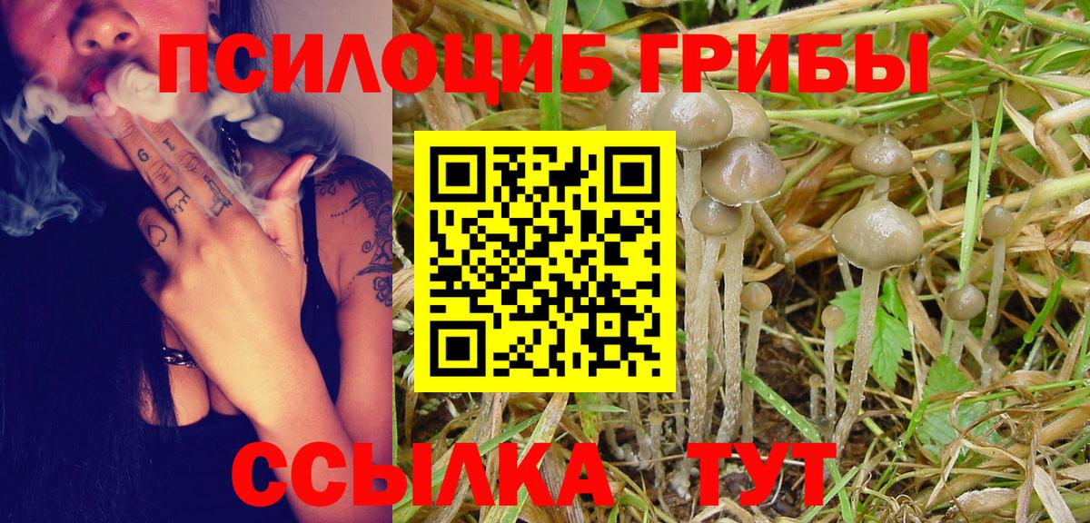 дарнет шоп  Галлюциногенные грибы прущие грибы  Вход с VPN  Краснокамск 