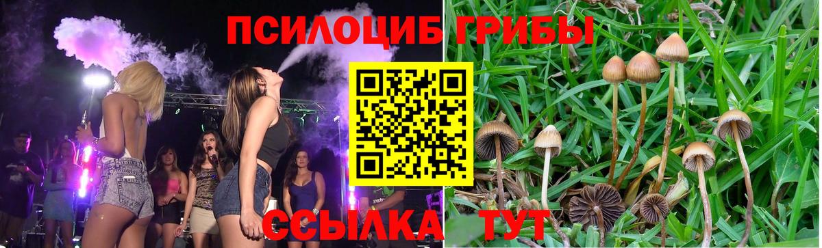 Краснокамск  Вход с VPN  МЕФ  МАРИХУАНА  MDMA  НБОМе 