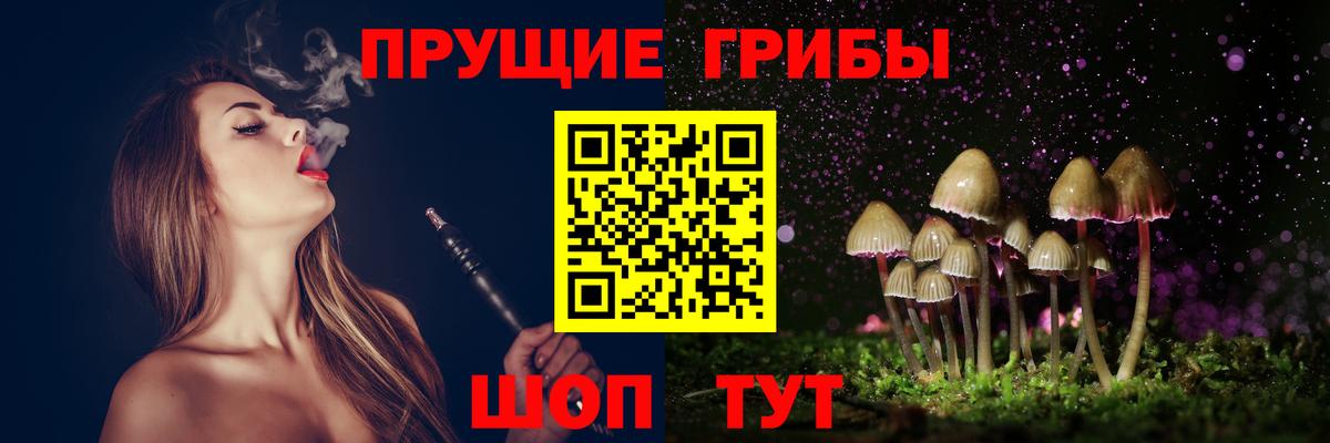 Галлюциногенные грибы Psilocybe Краснокамск